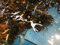 -宝燕海货工场(长江国际店)