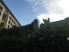 -华南师范大学(广州大学城校区)