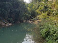 -广州白江湖森林公园