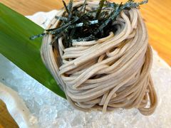 冷荞面-Hatsune隐泉日式料理(三里屯太古里店)