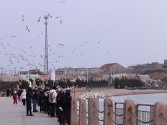 -烟墩角天鹅湖