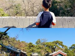 -阳台山自然风景区