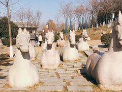 -鹦鹉寺公园
