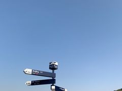 -云南巷海鲜大咖·可加工海鲜