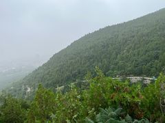 -府君山公园