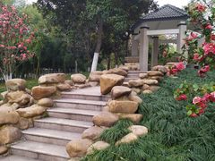 -后襄河公园