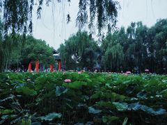 -四川大学(望江校区)