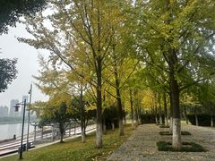-月湖风景区