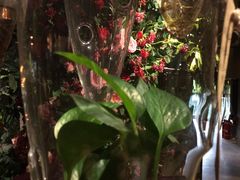 -范设计花园餐酒咖·中西餐·咖啡厅·酒馆