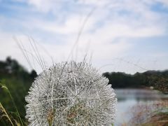 -华凌山庄·隐湖栖