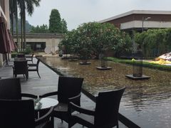 -白云湖畔酒店-湖畔餐厅