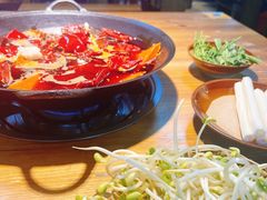 -阳阳老火锅(小南门店)