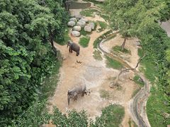 -广州长隆野生动物世界