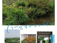 -中国茶叶博物馆(双峰馆区)