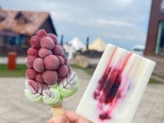 -新疆那拉提国家旅游度假区