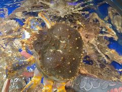 -79号渔船海鲜饭店(华强北店)