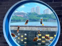 -珠海圆明新园