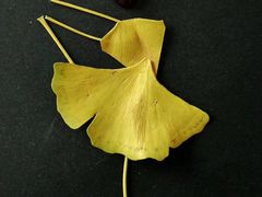 -春暖花开(西溪店)
