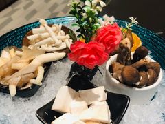 -新一哥粤菜火锅(瑞金店)