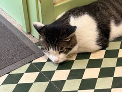 -野上麦田(中贸广场店)