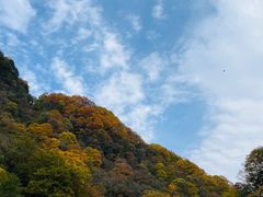 -光雾山旅游景区