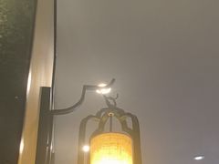 -眉州东坡(民族园店)