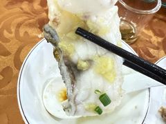 -肥舅父農莊