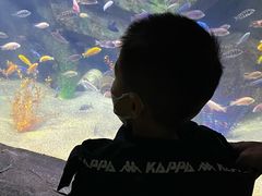 -泉城欧乐堡海洋极地世界