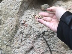 -彩色沙林风景区