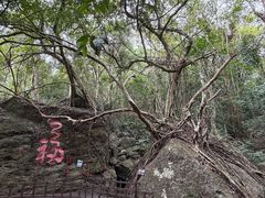 -七仙岭温泉国家森林公园