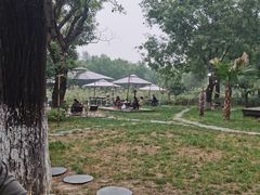 -Supine Bistro溯泮餐厅