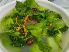 咸骨芥菜-石岐乳鸽村(南海第三分店)