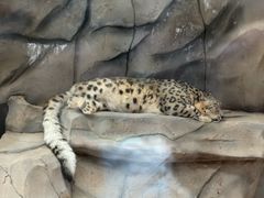-青藏高原野生动物园