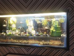 -深圳四季酒店·馥自助餐厅