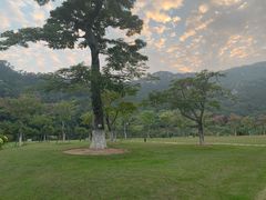 -厦门国家会计学院