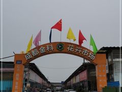 -金科花卉市场