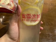 -蜜雪冰城·冰淇淋与茶(长郡中学店)