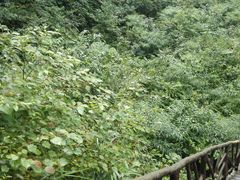 -红峡谷
