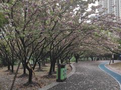 -苏州河梦清园环保主题公园