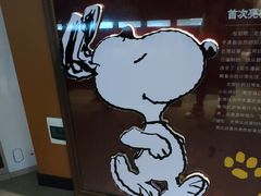 -史努比缤纷世界