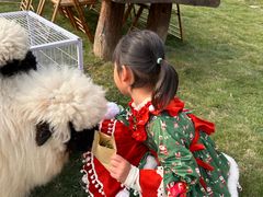 -HERRE·FARM 赫尔露营农场·团建聚会包场