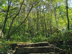 -云岫谷自然风景区