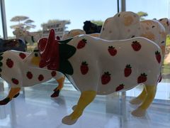 -罗红摄影艺术馆