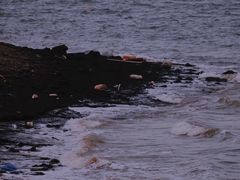 -海堤纪念公园