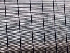 -梧桐餐厅(泉城路店)