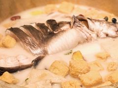 -云海肴云南菜·蒸汽石锅鱼(青岛万象城店)