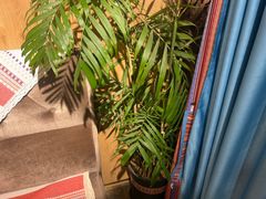 -慢丽江·云南野生菌土鸡锅(西山店)