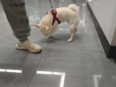 -贝利宠物医院·骨科·眼科·肿瘤转诊中心(南坪诊疗中心)
