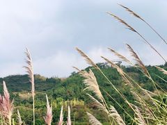 -三岔湖景区