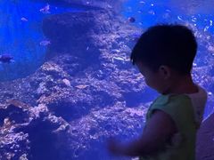 -华夏文旅海洋公园